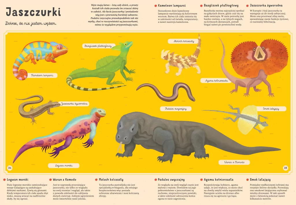 Moje własne zoo. Odkrywamy tajemniczy świat zwierząt - tantis.pl