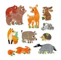 CzuCzu. Zwierzątka w lesie. Puzzle Progresywne. 2+ - tantis.pl