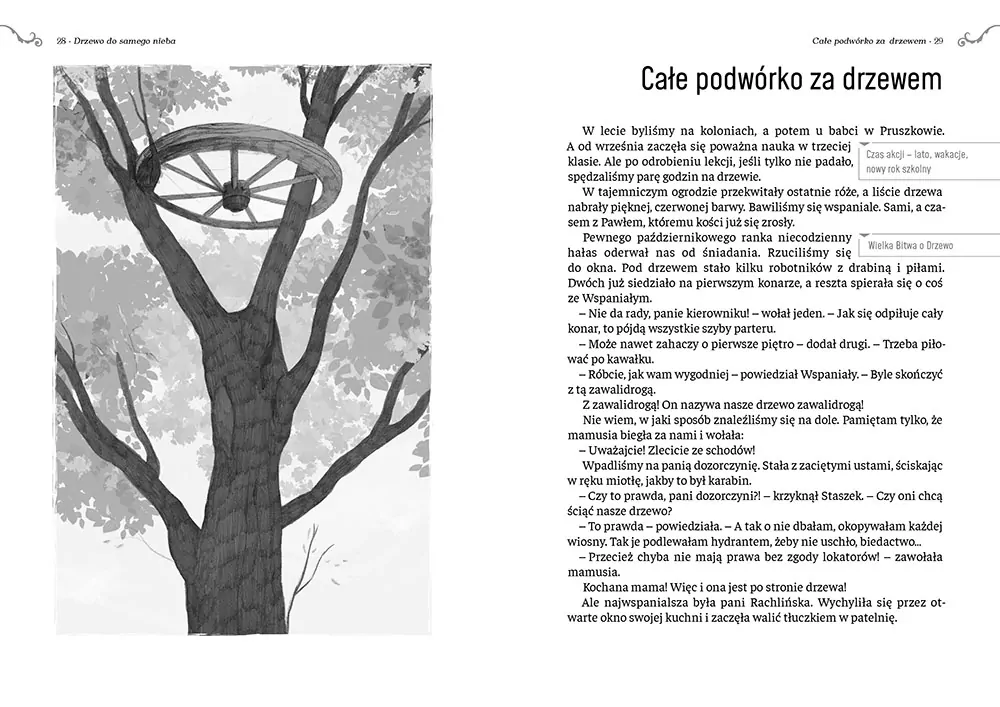Drzewo do samego nieba - tantis.pl