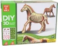 *****Model anatomiczny zwierzęta 2002265 22657 - tantis.pl