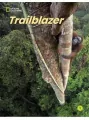 Trailblazer Level 1 Flashcards - tantis.pl