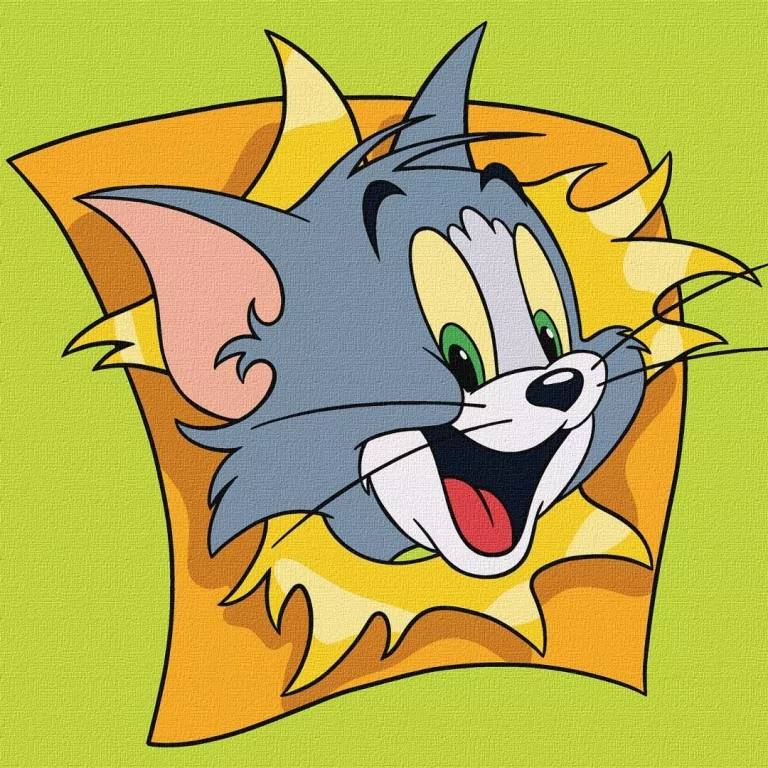 Malowanie po numerach - Tom i Jerry 25x25cm - tantis.pl