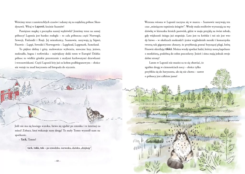 Skandynawia i Finlandia. Kocie ścieżki. Tom 2 - tantis.pl