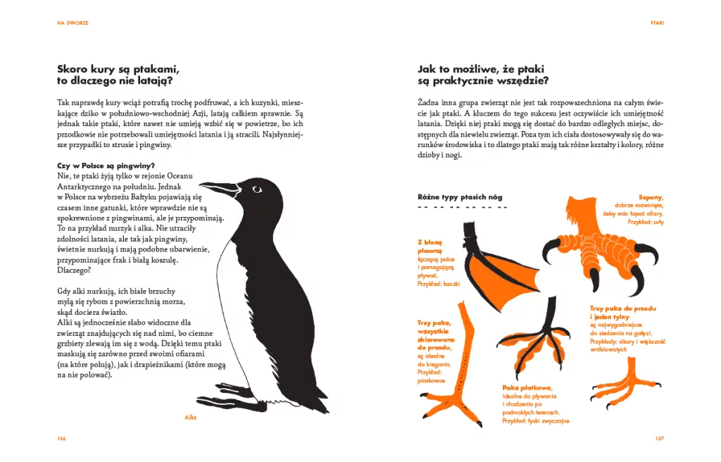Na dworze. Przewodnik dla odkrywców przyrody - tantis.pl