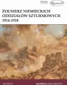 Żołnierz niemieckich oddziałów szturmowych 1914/18 - tantis.pl