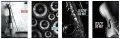Zeszyt do nut A4/16K UV Pion - tantis.pl