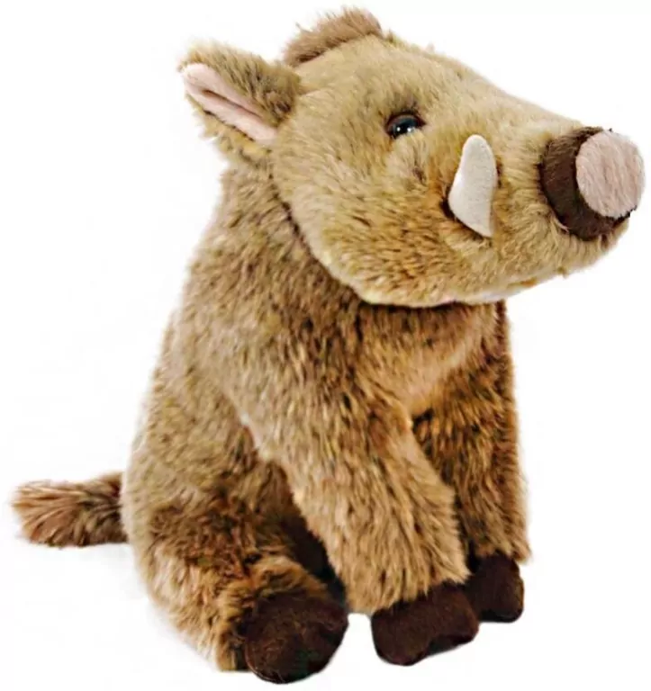 Dzik euroazjatycki 23cm - tantis.pl