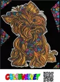 Kolorowanka welurowa Yorkshire Terrier 47x35cm - tantis.pl