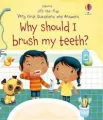 Lift-the-flap Very First Questions and Answers Why should I brush my teeth? - tantis.pl