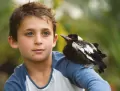 Penguin Bloom. Ptak, który ocalił rodzinę - tantis.pl