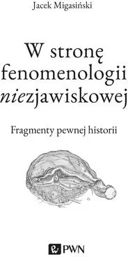 W stronę fenomenologii niezjawiskowej - tantis.pl