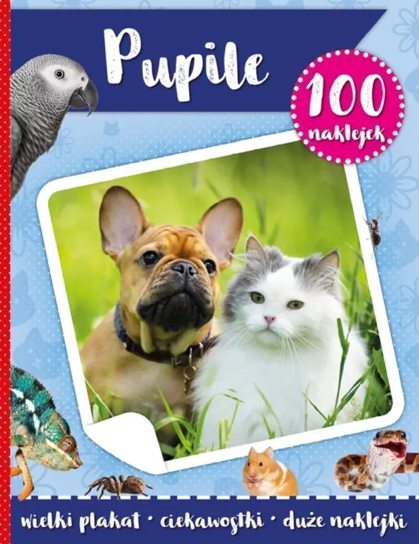 Pupile. 100 naklejek z plakatem - tantis.pl