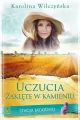 Uczucia zaklęte w kamieniu. Stacja Jagodno. Tom 7 - tantis.pl