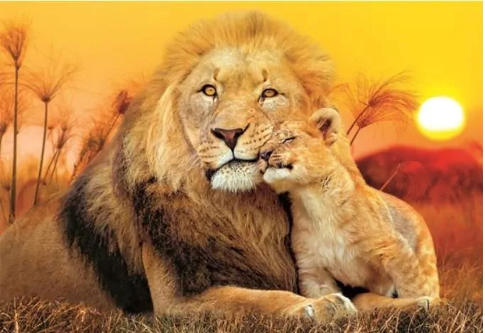 Puzzle 180. Unexpected hug - tantis.pl