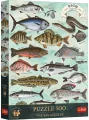 Puzzle 500 Finders Keepers: Ryby TREFL - tantis.pl