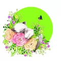 Karnet Swarovski kwadrat: Kot - tantis.pl