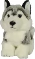 Pies Husky 19cm - tantis.pl
