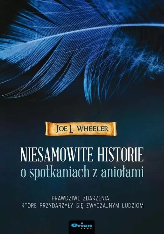 Niesamowite historie o spotkaniach z aniołami - tantis.pl