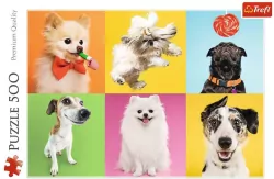 Puzzle 500. Psy