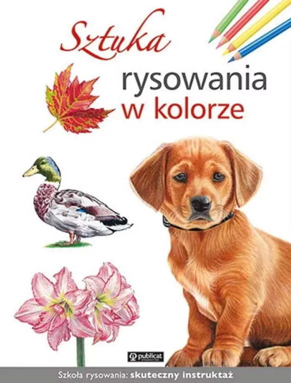 Sztuka rysowania w kolorze - tantis.pl