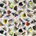 Puzzle 1000 J12 Ptaki - tantis.pl