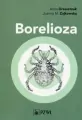 Borelioza - tantis.pl