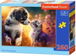Puzzle 260. New Friendship
