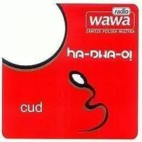 Duet HA-DWA-O! CD - tantis.pl