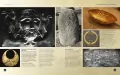 Mitologia celtycka - tantis.pl