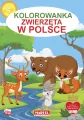 Kolorowanka: Zwierzęta w Polsce - tantis.pl