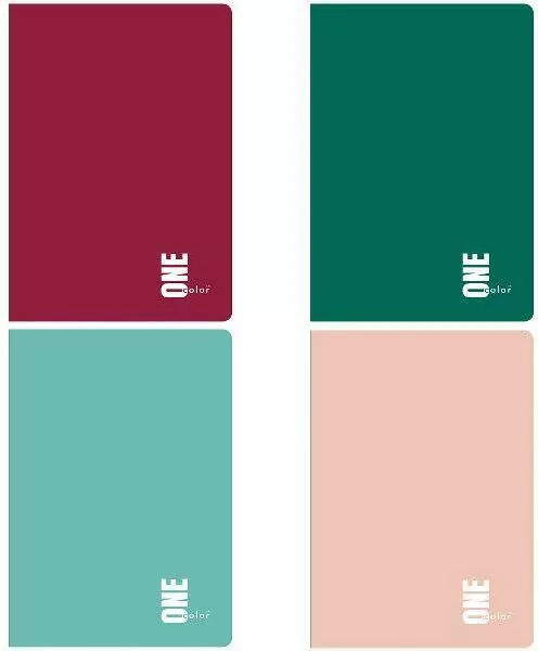 Zeszyt w kartkę A5/60 kartkowy One Color, 1 szt (305655) - tantis.pl
