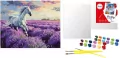 Malowanie po numerach - W lawendowych polach 40x50 - tantis.pl