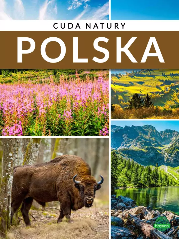Cuda natury. Polska - tantis.pl