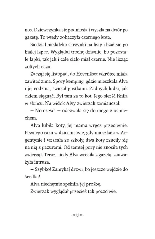 Tajemniczy kot - tantis.pl