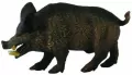 Dzik odyniec - tantis.pl