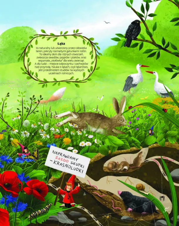 Łąka. Fakty, wierszyki i inne wybryki - tantis.pl