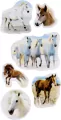 Naklejki. Konie - tantis.pl