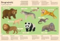 Moje własne zoo. Odkrywamy tajemniczy świat zwierząt - tantis.pl