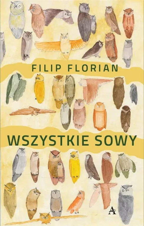 Wszystkie sowy - tantis.pl