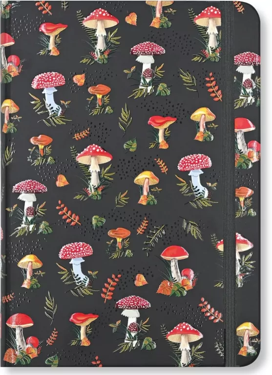 Notatnik Mini Grzyby - tantis.pl