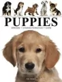 Puppies - tantis.pl