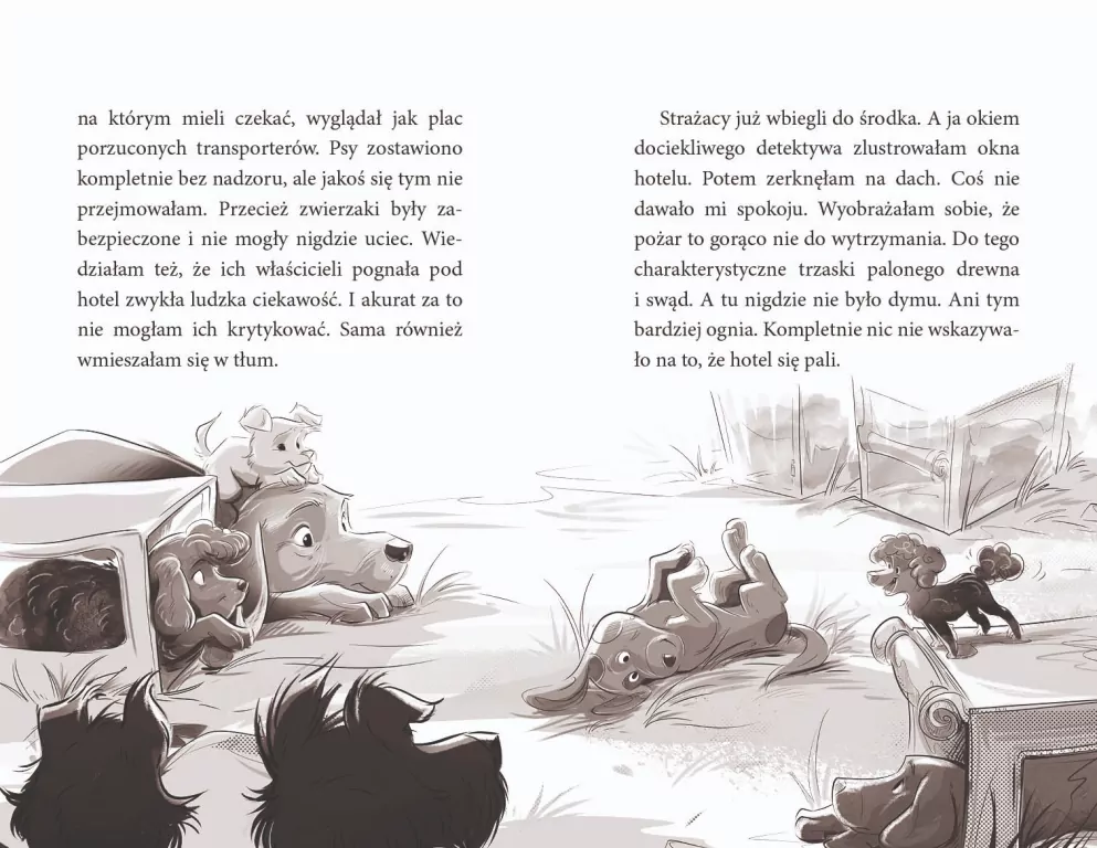 PAKA z domku na drzewie. Zagadka pod psem - tantis.pl