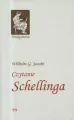 Czytanie Schellinga - tantis.pl