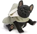 Piesek hiszpański buldog francuski Nono 32cm - tantis.pl