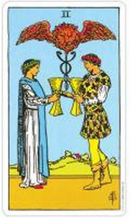 Karty Tarot A E Waite Tarot Premium - tantis.pl