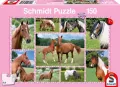 Puzzle 150. Konie - tantis.pl