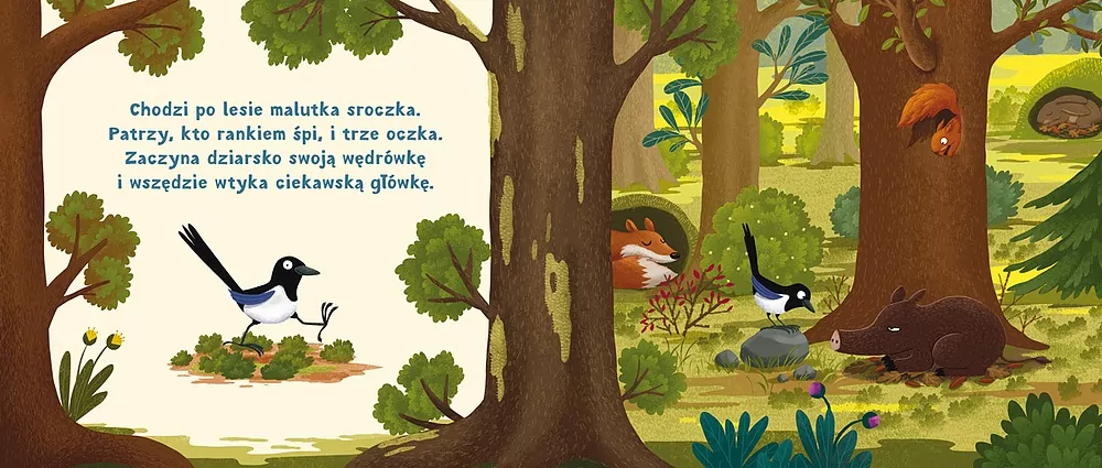 Rok w lesie. Zasypianka - tantis.pl