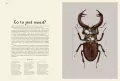 Insektarium. Muzeum Owadów. W Muzeum - tantis.pl