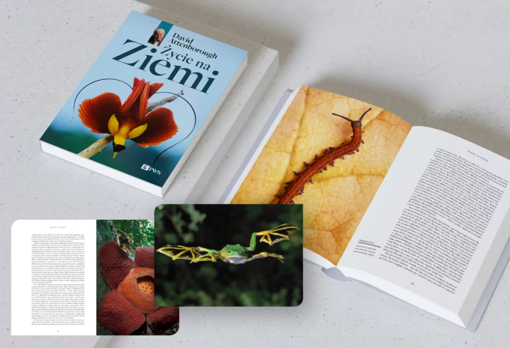 Życie na Ziemi. Najwspanialsza historia na świecie - tantis.pl