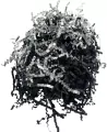 Rafia dekoracyjna papierowa 20g - tantis.pl